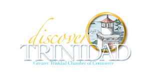 Discover Trinidad Lighthouse Logo