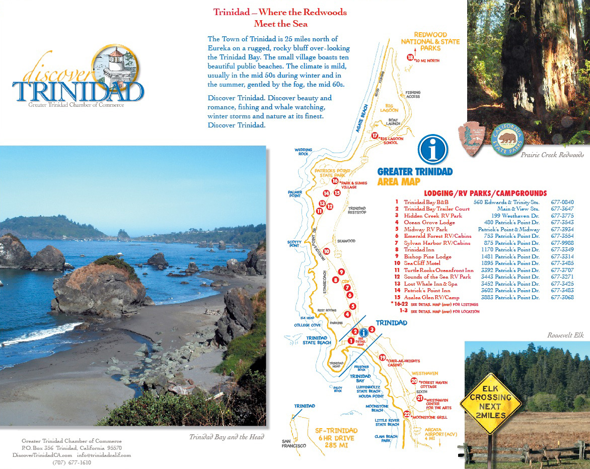 Area Map - Brochure