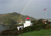Finding Trinidad - Story Image