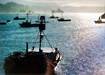 Discover Trinidad ... Again and Again - Story Image