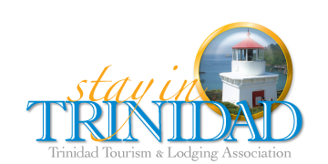 Stay In Trinidad - Tourism and Lodging logo spyglass with Trinidad Memorial Lighthouse the Bay and the Head